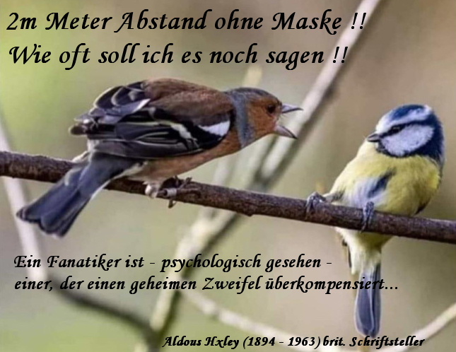 Zum geburtstag aphorismen Zitate Abschied